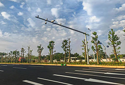 長天路(海盛路至南海大道)交通工程